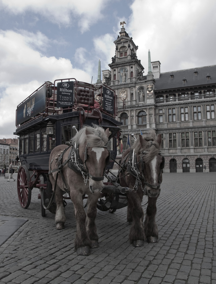 Antwerpen-Stadhuis-Carriage Carriage at the Antwerpen Stadhuis (town hall)