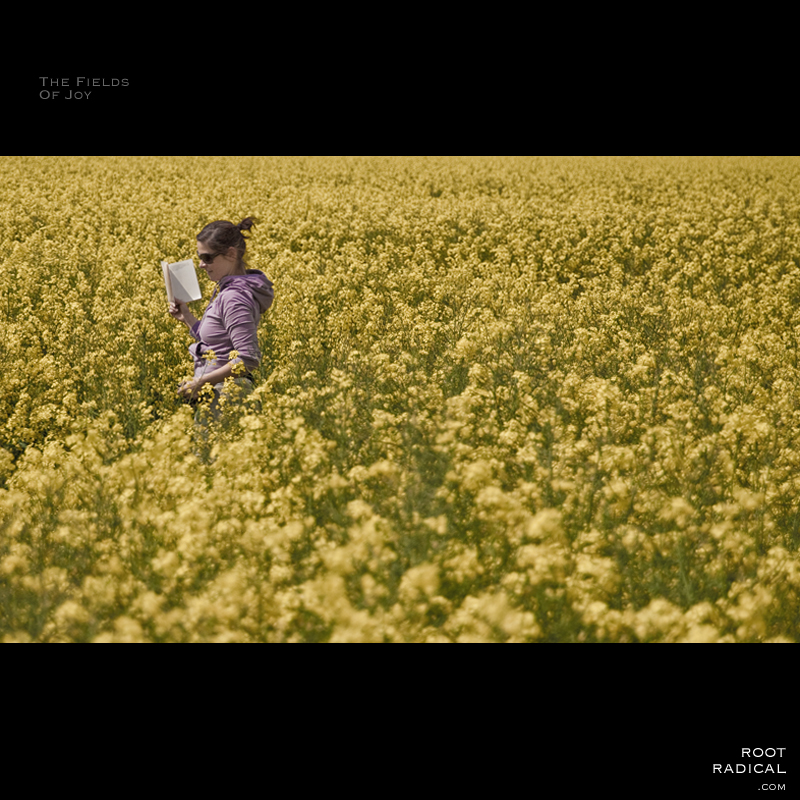 Girl in a field of yellow flowers