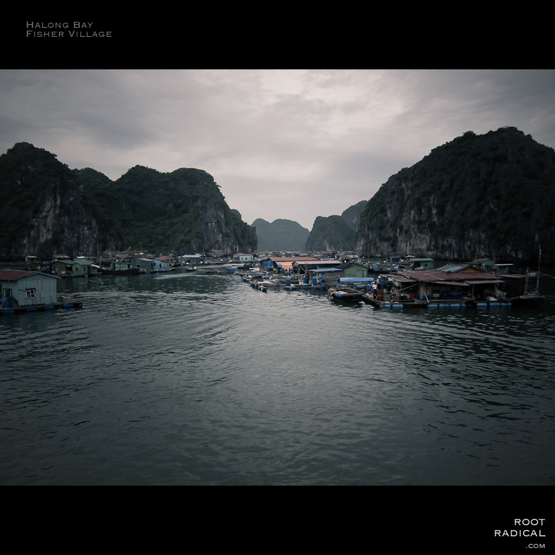halong-bay-fisher-village Incredible swimming fisher village in Halong Bay, Vietnam.