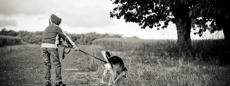 of-man-and-beast
